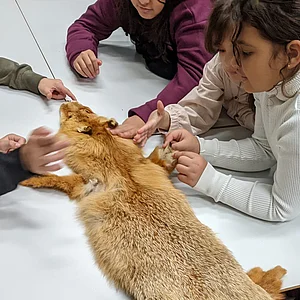 Pellentesque egestas neque