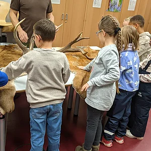 Pellentesque egestas neque